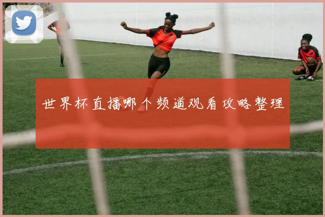 世界杯直播哪个频道观看攻略整理